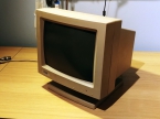 Monitor monocromatico